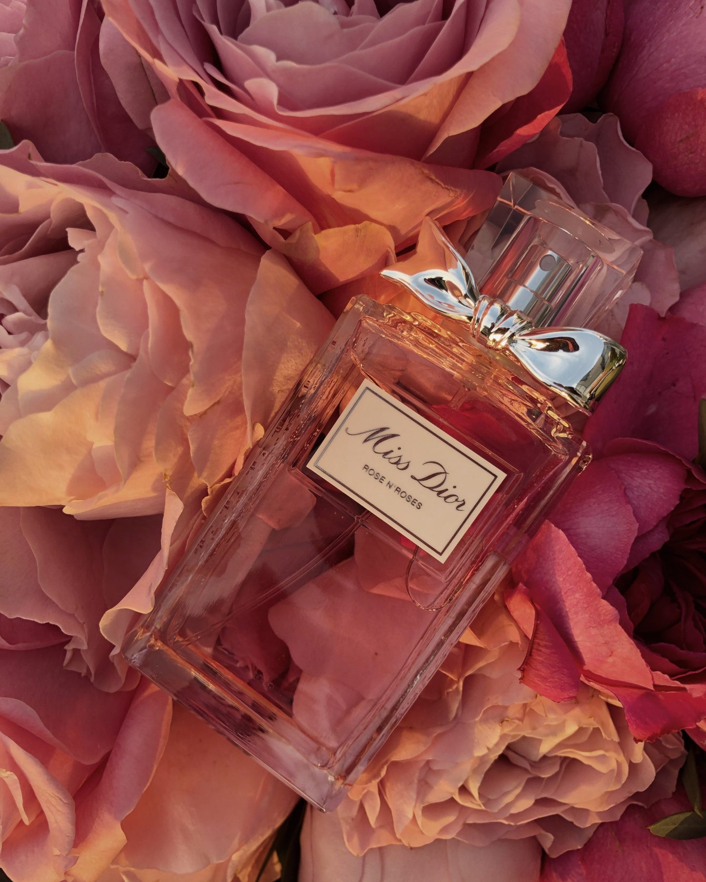 Miss - Dior Roses N'roses